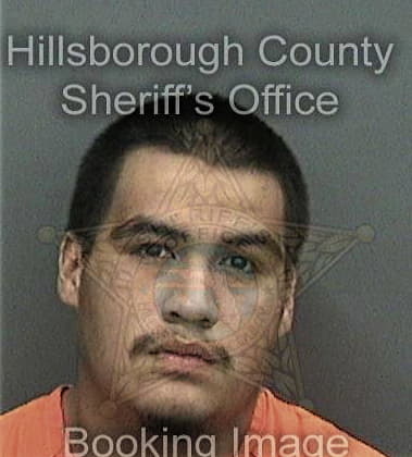 Rafael Guevaramolina, - Hillsborough County, FL 