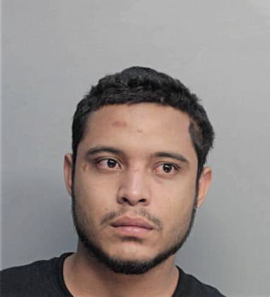 Rayniel Hernandez, - Dade County, FL 