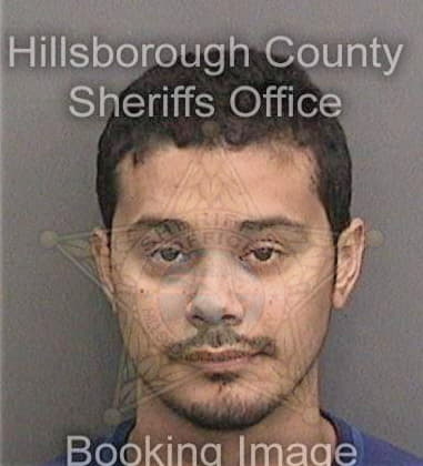 Jose Mascoche, - Hillsborough County, FL 