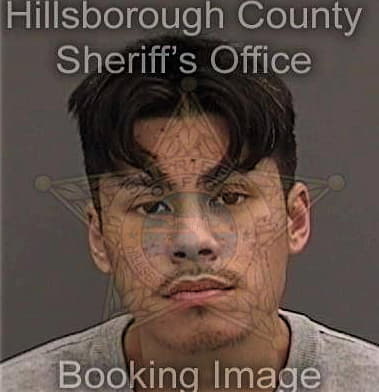 David Meikle - Hillsborough County, FL 