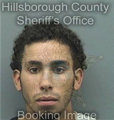 Ryan Roehm, - Hillsborough County, FL 