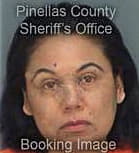 Demilyn Vergara, - Pinellas County, FL 