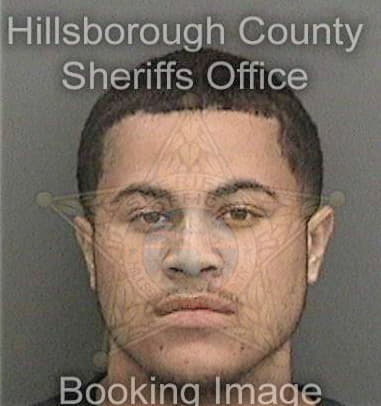 Tyler Wilkinson - Hillsborough County, FL 