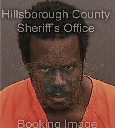 Andre Bradley - Hillsborough County, FL 