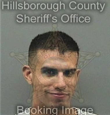 Ramiro Diaz, - Hillsborough County, FL 