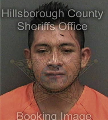 Kevin Lindstrom, - Hillsborough County, FL 