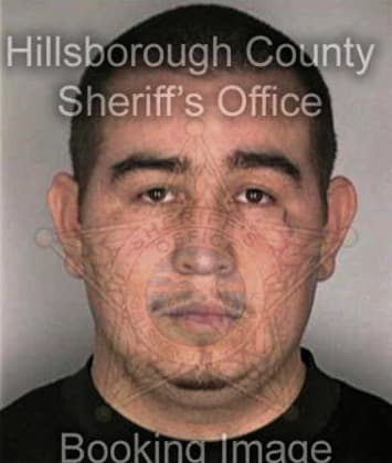 Fidel Martinez, - Hillsborough County, FL 