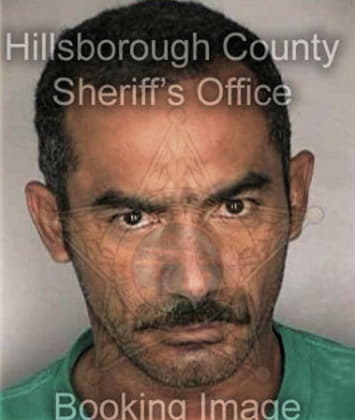 Thomas McLemore - Hillsborough County, FL 