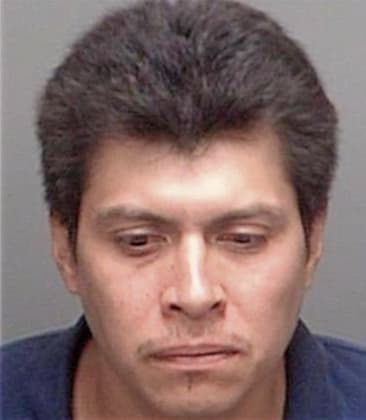 Manuel Camachobarcenas, - Pinellas County, FL 