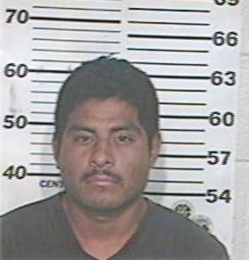 Alan Gallegos, - Hidalgo County, TX 