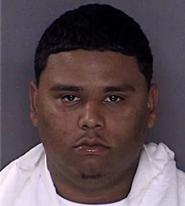 Luis Hernandez-Rodriguez, - Ellis County, TX 