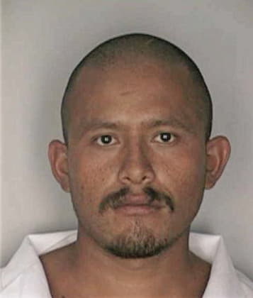 Nicolas Hernandezgomez - Hillsborough County, FL 
