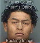 Yendys Ortega, - Pinellas County, FL 