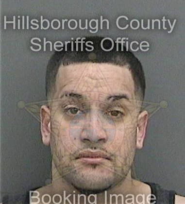 Albert Parrales, - Hillsborough County, FL 