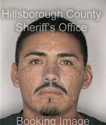 Timothy Shaughnessy, - Hillsborough County, FL 