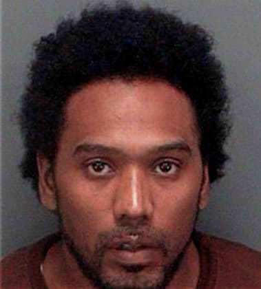 Nikki Smith - Pinellas County, FL 