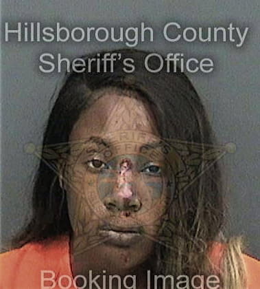 Tamara StLouis, - Hillsborough County, FL 