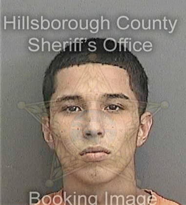 Mitchell Vogler, - Hillsborough County, FL 