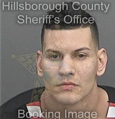 Shawn Warner, - Hillsborough County, FL 