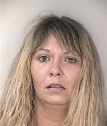 Lisa Lewis, - Hillsborough County, FL 