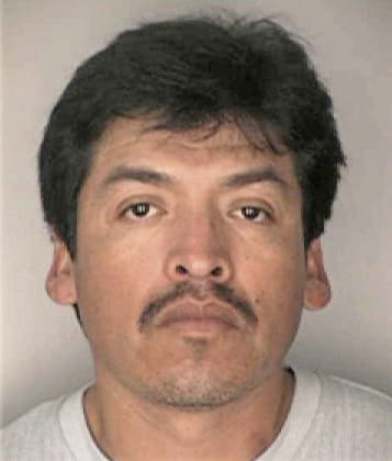 Yael Mejia - Hillsborough County, FL 