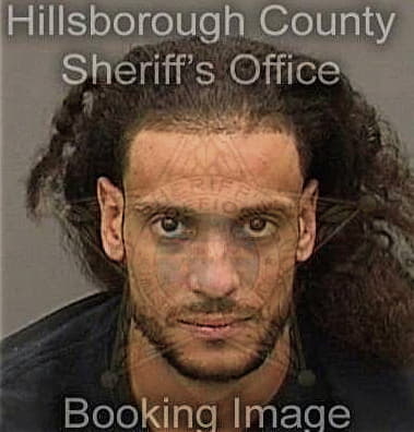 Christian Rodriguezcarmona, - Hillsborough County, FL 