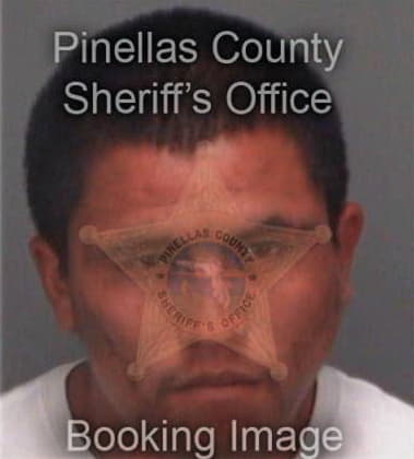 Juan Delvalle, - Pinellas County, FL 