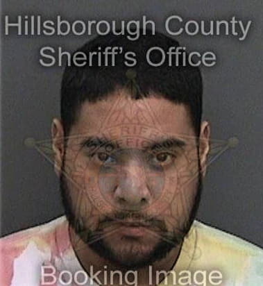 Tomas Garcia, - Hillsborough County, FL 