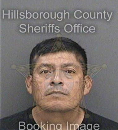 Hermenejildo Garciasalvador, - Hillsborough County, FL 