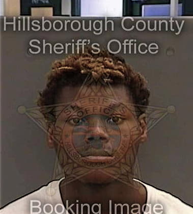 Dwayne Larry, - Hillsborough County, FL 