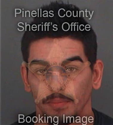 Joel Maldonadobautista, - Pinellas County, FL 