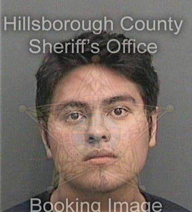 Roger Mitchell - Hillsborough County, FL 