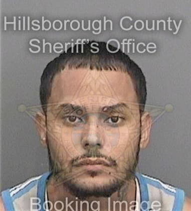 Jason Protano, - Hillsborough County, FL 