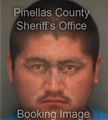 Hector Sanchez, - Pinellas County, FL 