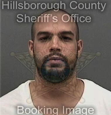 Nelson Barrera, - Hillsborough County, FL 