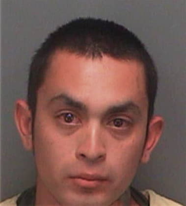 Jorge Cervantes, - Pinellas County, FL 