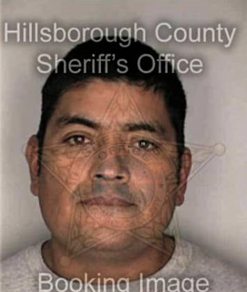 Jesus Galindezcruz, - Hillsborough County, FL 