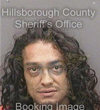 Hiram Guzmanechevarria, - Hillsborough County, FL 