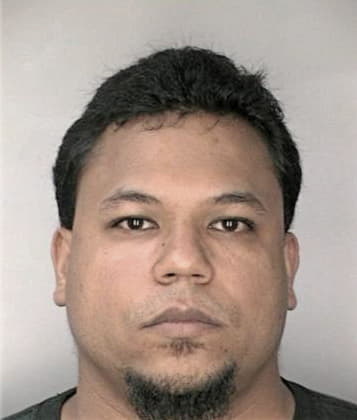 Jaime Hernandezruiz - Hillsborough County, FL 