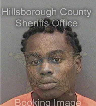 Jonathan Hodges, - Hillsborough County, FL 