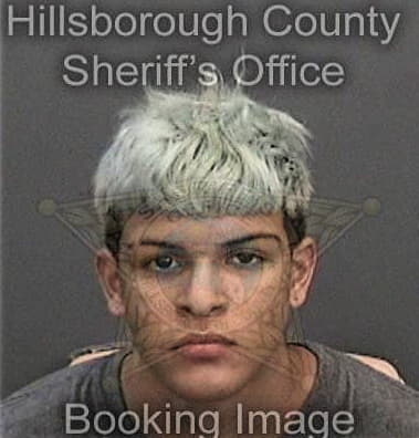 Richard Roque, - Hillsborough County, FL 