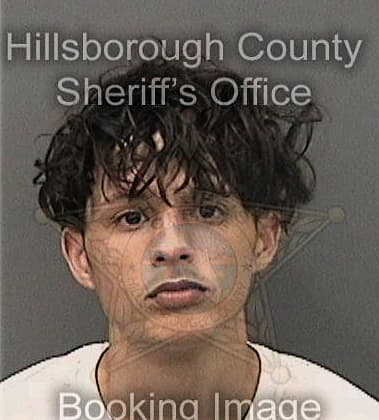 Rafael Alfaro, - Hillsborough County, FL 