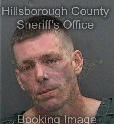 Angel Alsina-Jimenez, - Hillsborough County, FL 