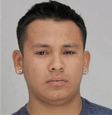 Erasmo Alvaradoortega, - Dallas County, TX 