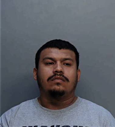 Yosvany Baldivia-Acosta, - Dade County, FL 