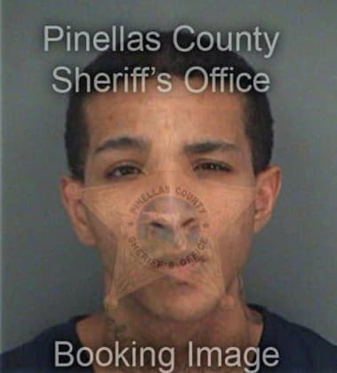 Henry Johnson, - Pinellas County, FL 