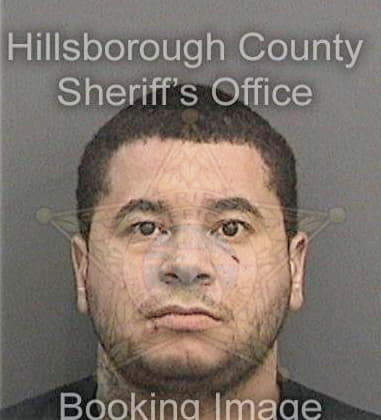 Mario Melendez - Hillsborough County, FL 