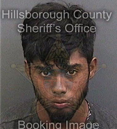 Nicolas Montgomery, - Hillsborough County, FL 