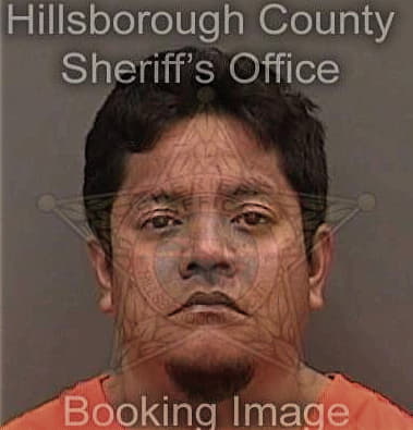 Noel Silva-Delgado, - Hillsborough County, FL 