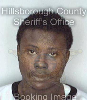 Ronald Boyd - Hillsborough County, FL 
